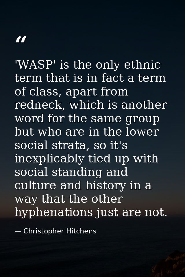 'WASP' is the only ethnic term that is in fact a term of class, apart from redneck, which is another word for the same g — Christopher Hitchens