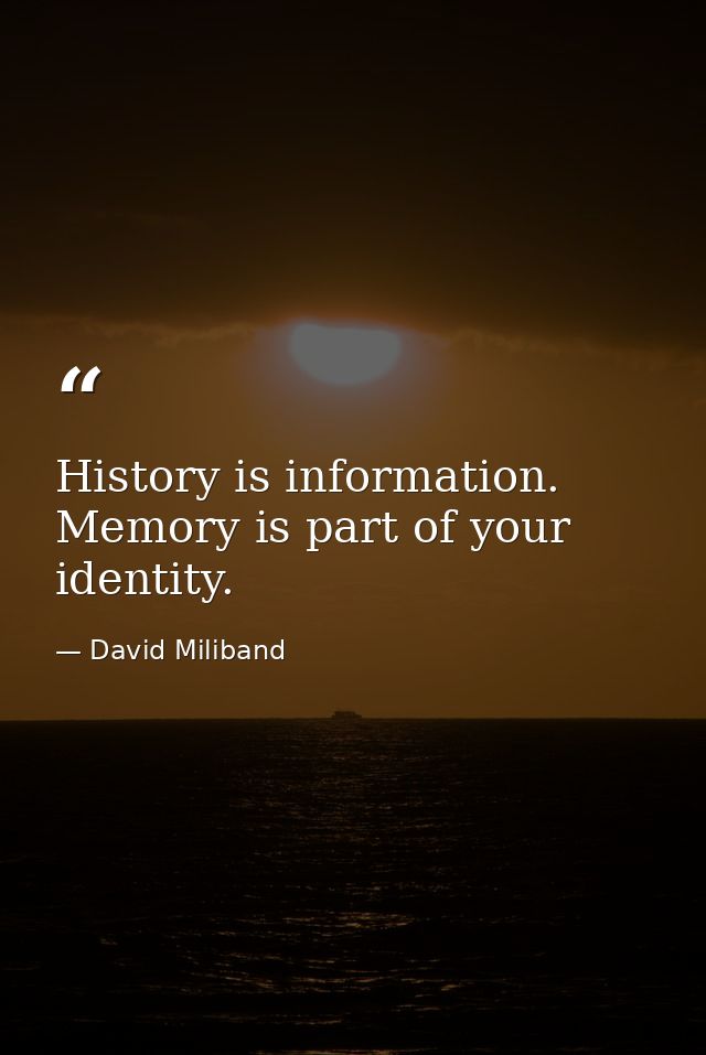 History is information. Memory is part of your identity. — David Miliband