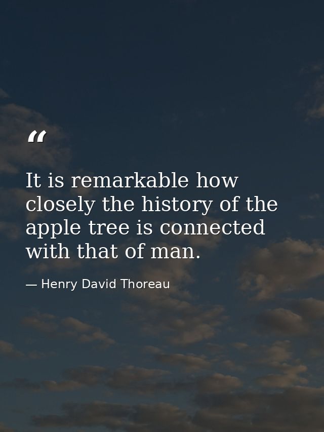 It is remarkable how closely the history of the apple tree is connected with that of man. — Henry David Thoreau