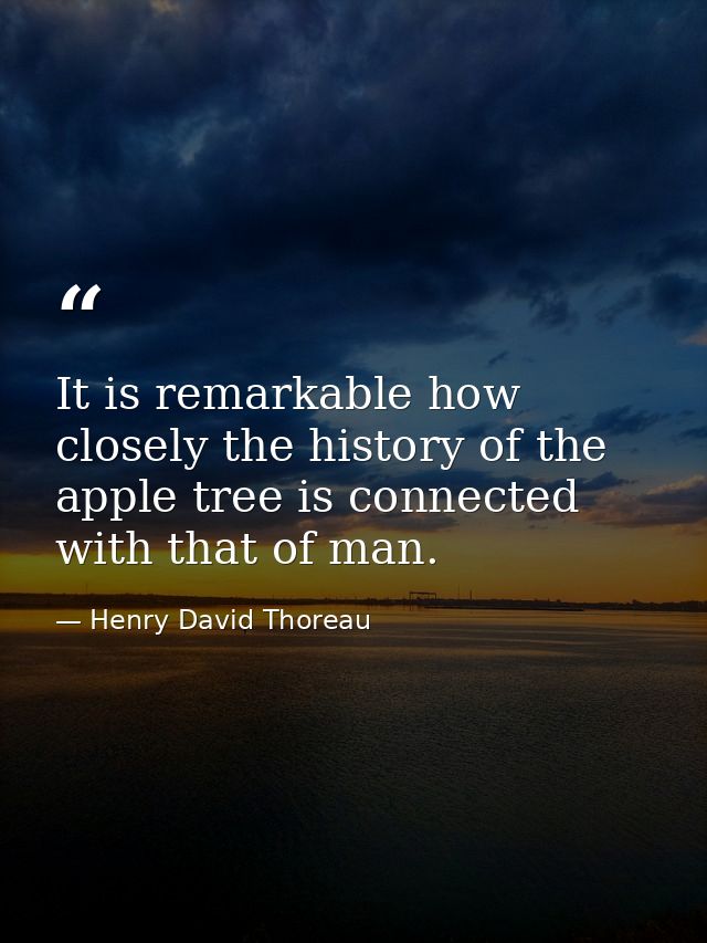 It is remarkable how closely the history of the apple tree is connected with that of man. — Henry David Thoreau
