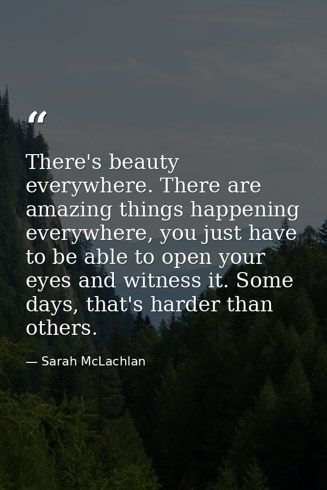 There's beauty everywhere. There are amazing things happening everywhere, you just have to be able to open your eyes and — Sarah McLachlan