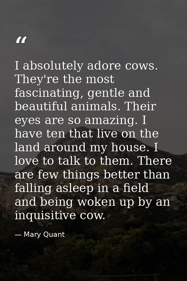 I absolutely adore cows. They're the most fascinating, gentle and beautiful animals. Their eyes are so amazing. I have t — Mary Quant
