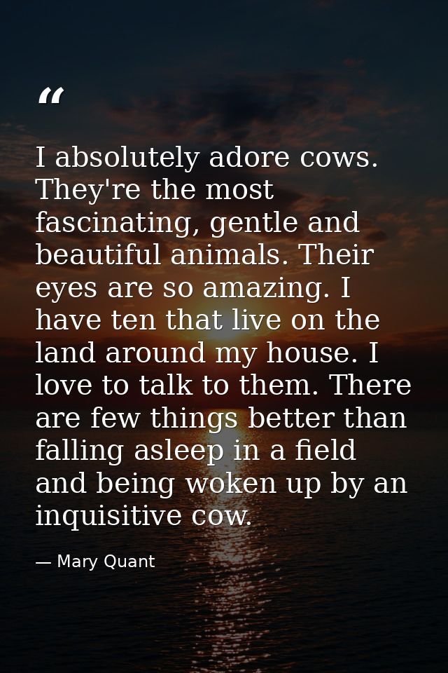 I absolutely adore cows. They're the most fascinating, gentle and beautiful animals. Their eyes are so amazing. I have t — Mary Quant