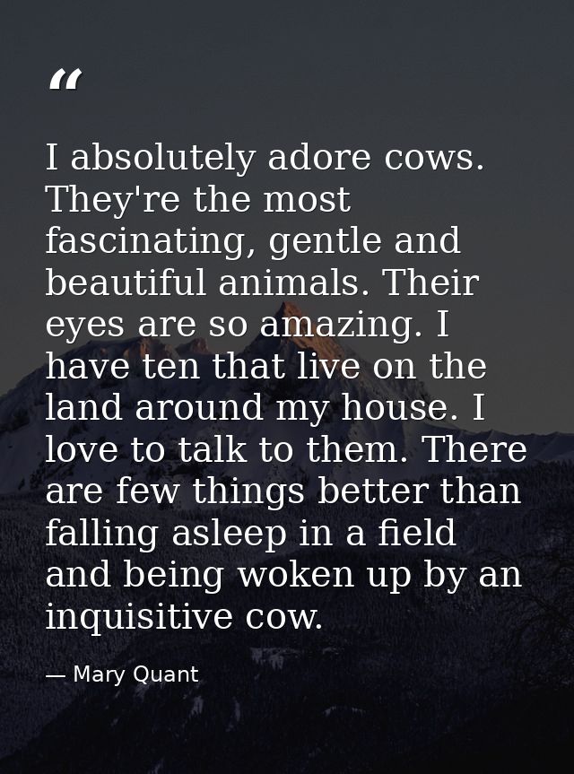 I absolutely adore cows. They're the most fascinating, gentle and beautiful animals. Their eyes are so amazing. I have t — Mary Quant