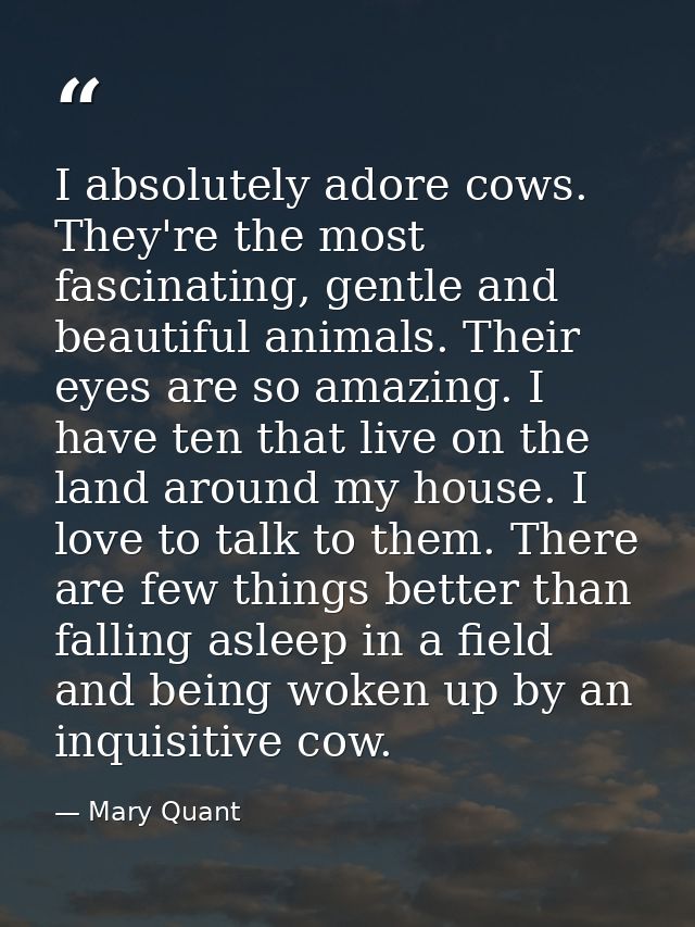 I absolutely adore cows. They're the most fascinating, gentle and beautiful animals. Their eyes are so amazing. I have t — Mary Quant