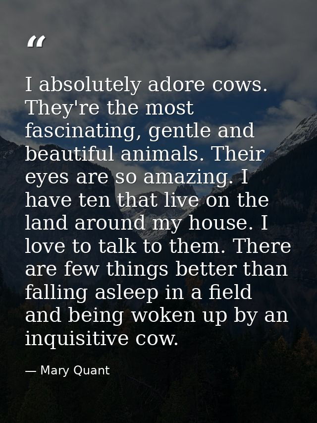I absolutely adore cows. They're the most fascinating, gentle and beautiful animals. Their eyes are so amazing. I have t — Mary Quant