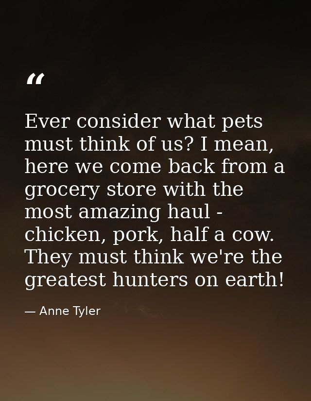 Ever consider what pets must think of us? I mean, here we come back from a grocery store with the most amazing haul - ch — Anne Tyler