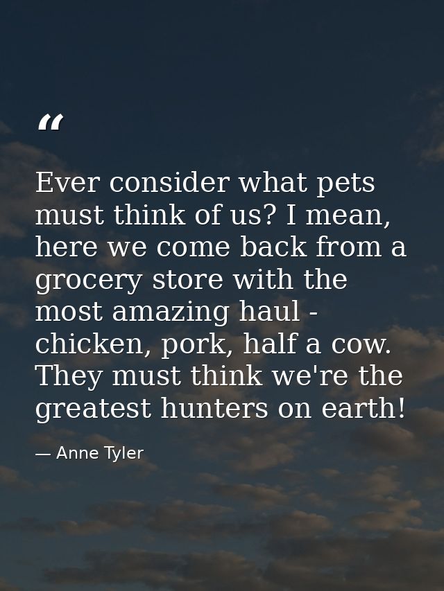 Ever consider what pets must think of us? I mean, here we come back from a grocery store with the most amazing haul - ch — Anne Tyler