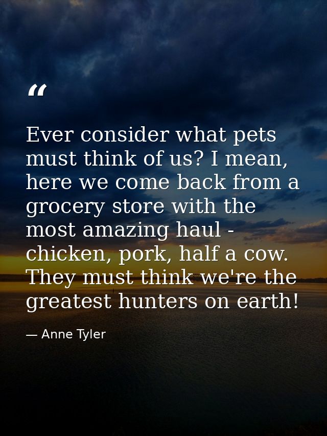 Ever consider what pets must think of us? I mean, here we come back from a grocery store with the most amazing haul - ch — Anne Tyler