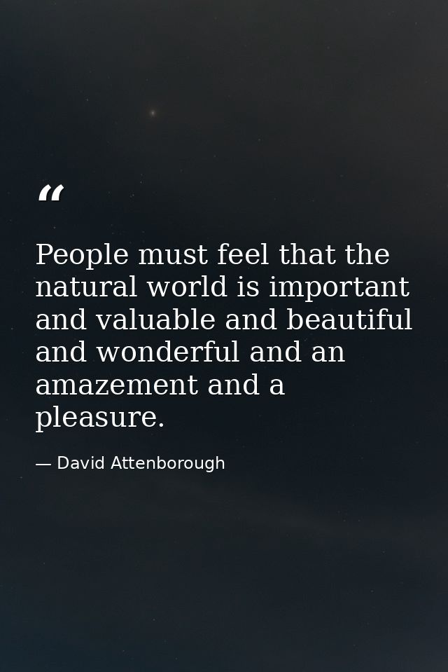 People must feel that the natural world is important and valuable and beautiful and wonderful and an amazement and a ple — David Attenborough