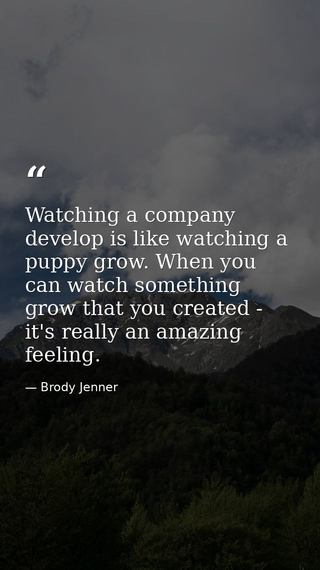 Watching a company develop is like watching a puppy grow. When you can watch something grow that you created - it's real — Brody Jenner