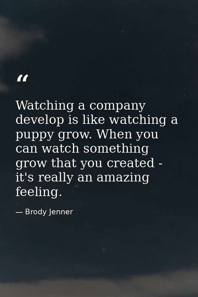 Watching a company develop is like watching a puppy grow. When you can watch something grow that you created - it's real — Brody Jenner