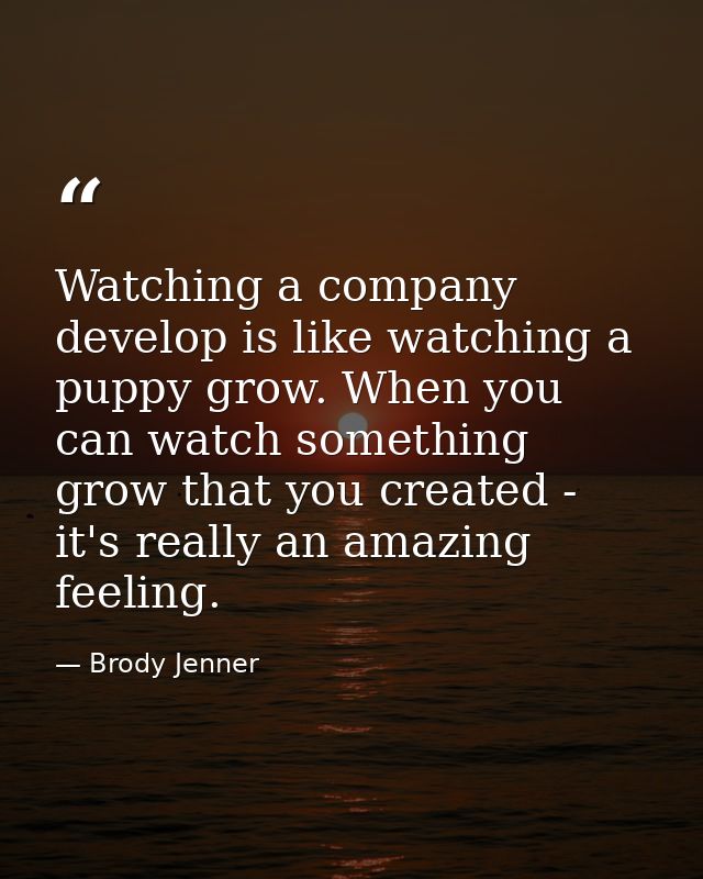 Watching a company develop is like watching a puppy grow. When you can watch something grow that you created - it's real — Brody Jenner