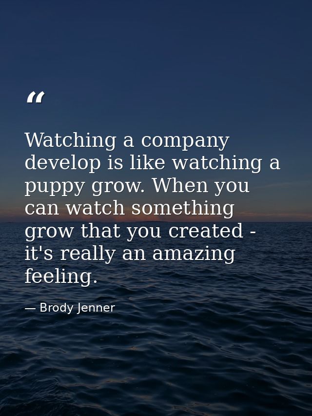 Watching a company develop is like watching a puppy grow. When you can watch something grow that you created - it's real — Brody Jenner