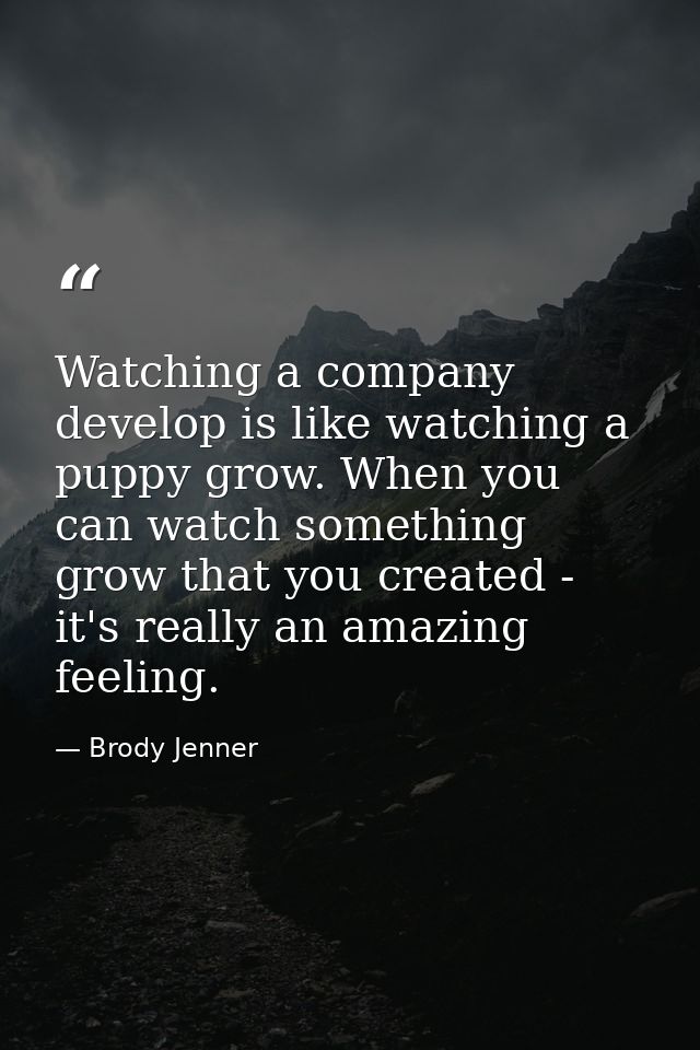 Watching a company develop is like watching a puppy grow. When you can watch something grow that you created - it's real — Brody Jenner