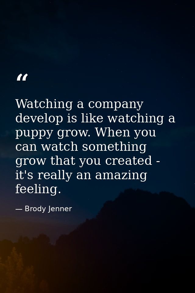 Watching a company develop is like watching a puppy grow. When you can watch something grow that you created - it's real — Brody Jenner