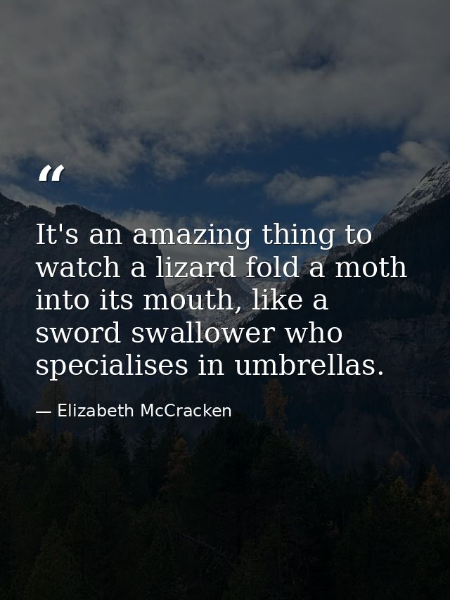 It's an amazing thing to watch a lizard fold a moth into its mouth, like a sword swallower who specialises in umbrellas. — Elizabeth McCracken
