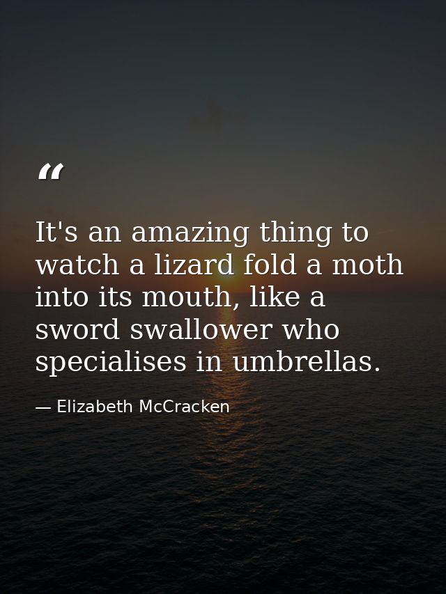 It's an amazing thing to watch a lizard fold a moth into its mouth, like a sword swallower who specialises in umbrellas. — Elizabeth McCracken