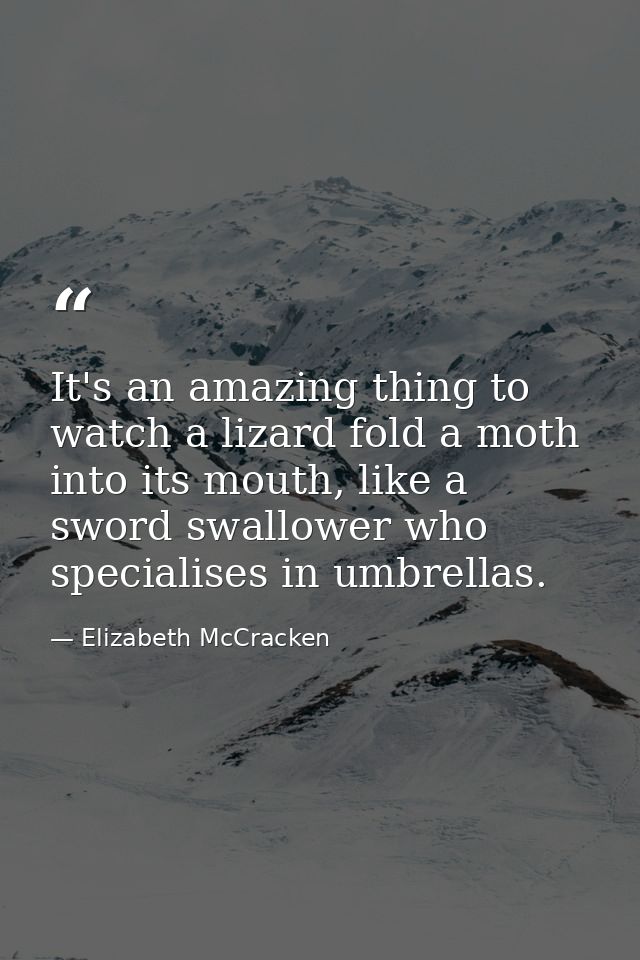 It's an amazing thing to watch a lizard fold a moth into its mouth, like a sword swallower who specialises in umbrellas. — Elizabeth McCracken