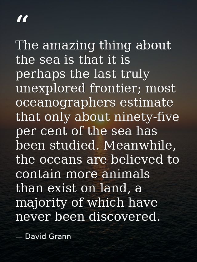 The amazing thing about the sea is that it is perhaps the last truly unexplored frontier; most oceanographers estimate t — David Grann