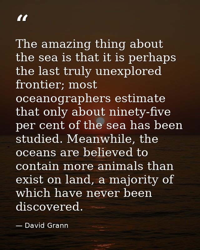The amazing thing about the sea is that it is perhaps the last truly unexplored frontier; most oceanographers estimate t — David Grann