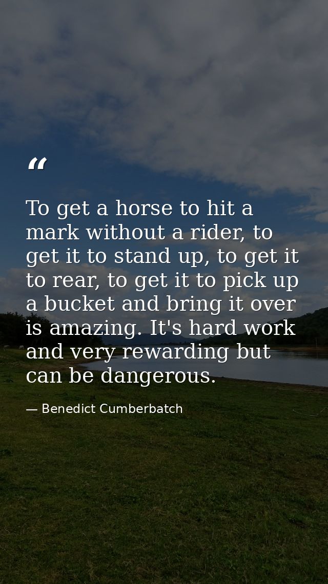 To get a horse to hit a mark without a rider, to get it to stand up, to get it to rear, to get it to pick up a bucket an — Benedict Cumberbatch