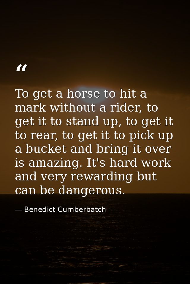 To get a horse to hit a mark without a rider, to get it to stand up, to get it to rear, to get it to pick up a bucket an — Benedict Cumberbatch
