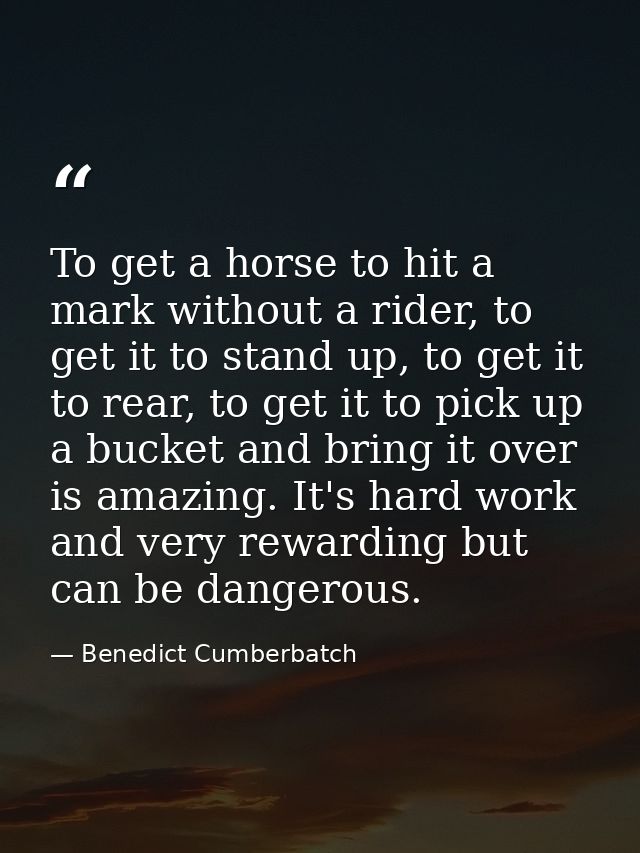 To get a horse to hit a mark without a rider, to get it to stand up, to get it to rear, to get it to pick up a bucket an — Benedict Cumberbatch