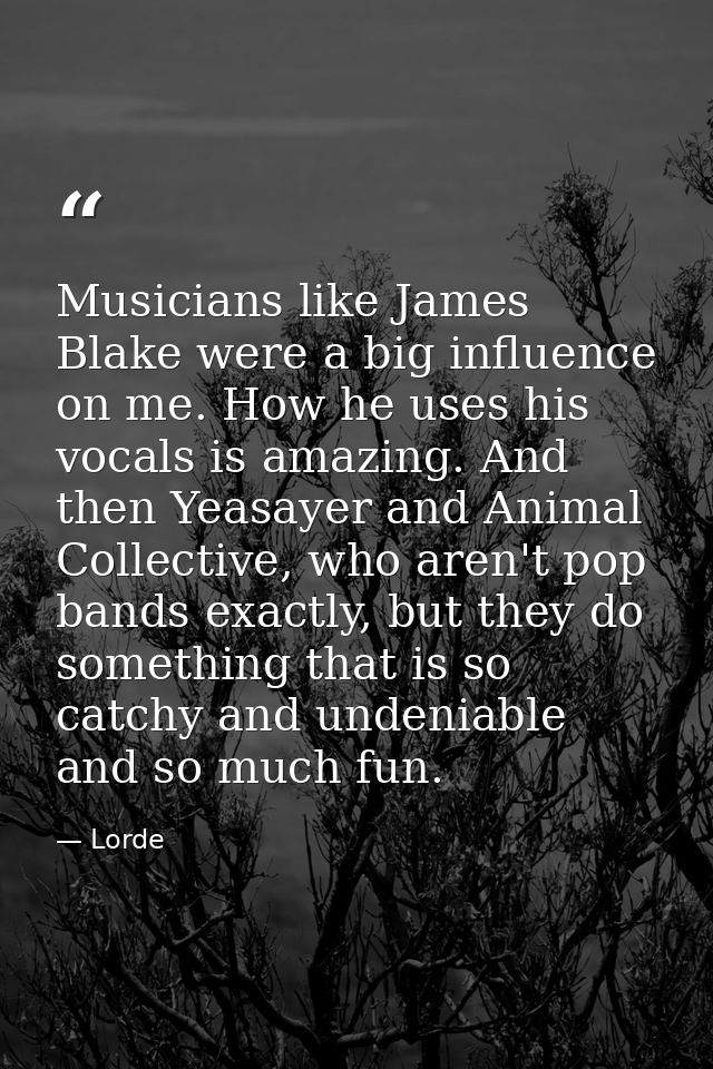 Musicians like James Blake were a big influence on me. How he uses his vocals is amazing. And then Yeasayer and Animal C — Lorde