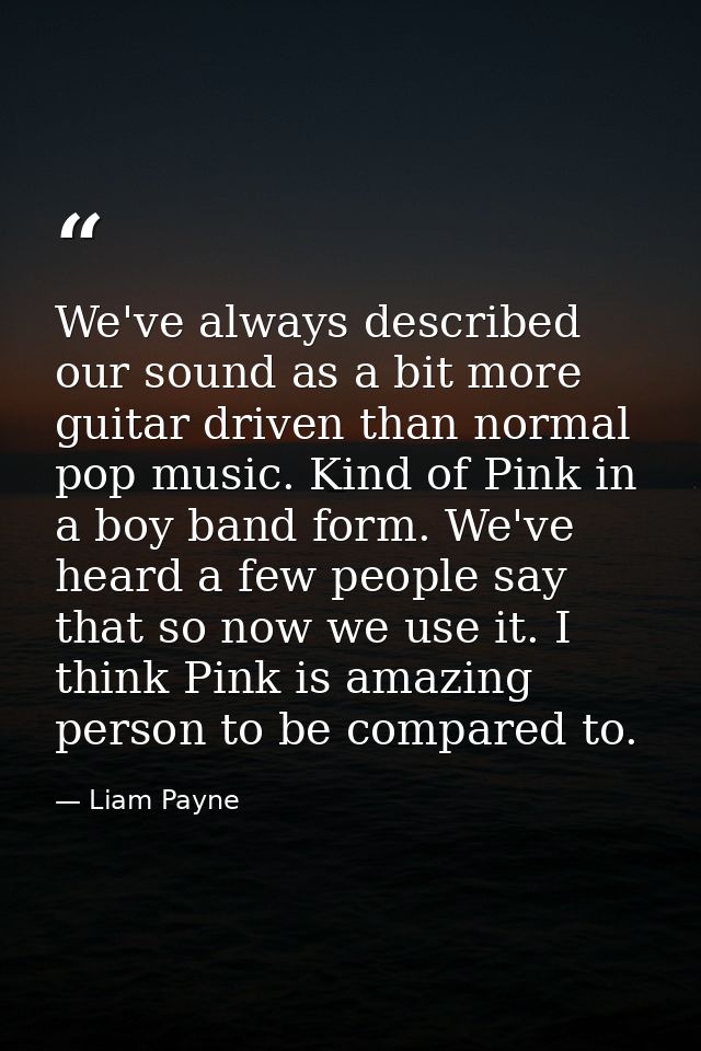 We've always described our sound as a bit more guitar driven than normal pop music. Kind of Pink in a boy band form. We' — Liam Payne