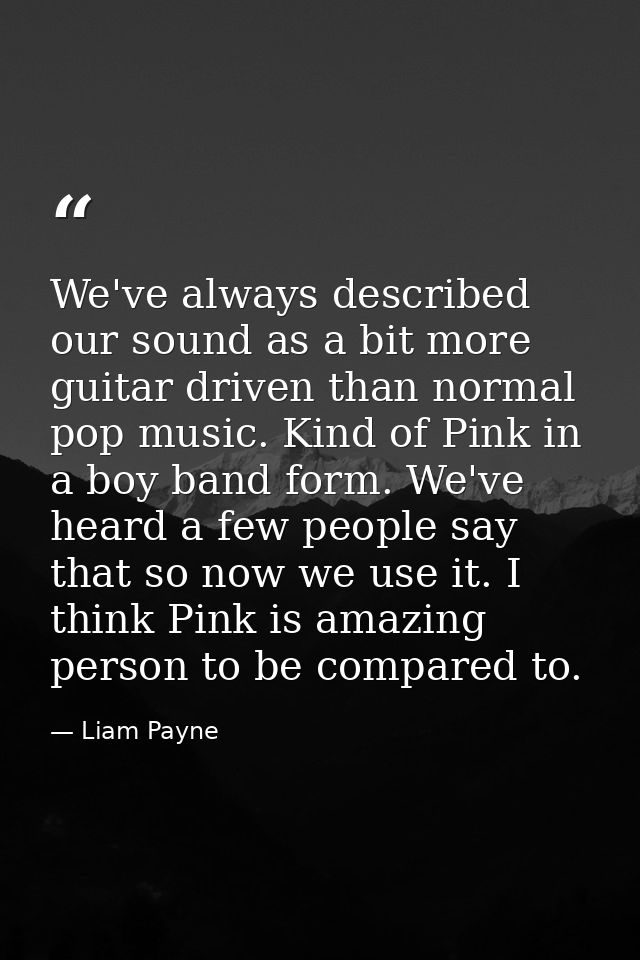We've always described our sound as a bit more guitar driven than normal pop music. Kind of Pink in a boy band form. We' — Liam Payne