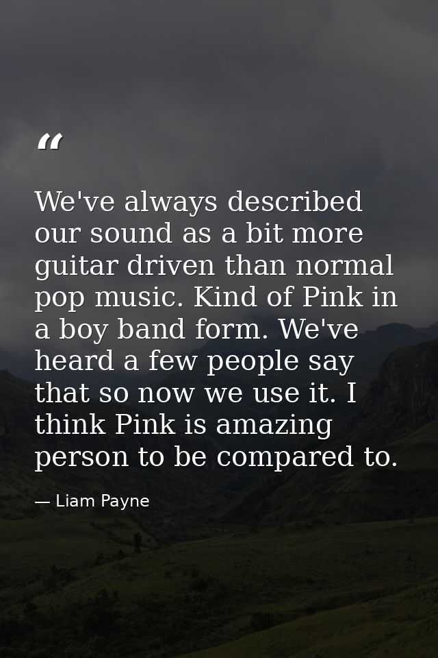 We've always described our sound as a bit more guitar driven than normal pop music. Kind of Pink in a boy band form. We' — Liam Payne