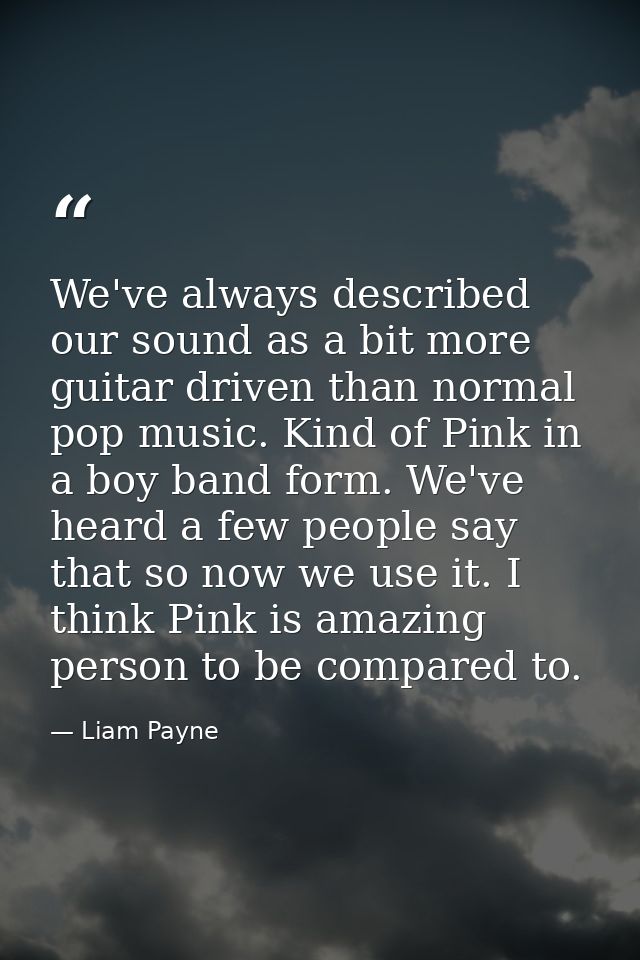 We've always described our sound as a bit more guitar driven than normal pop music. Kind of Pink in a boy band form. We' — Liam Payne
