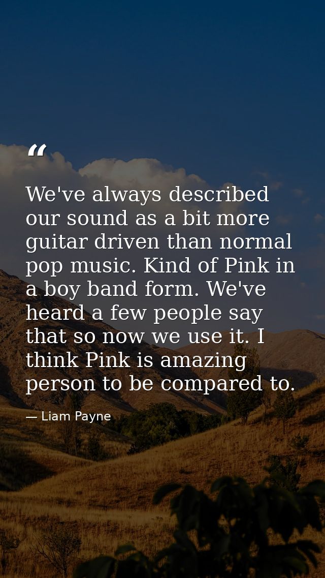 We've always described our sound as a bit more guitar driven than normal pop music. Kind of Pink in a boy band form. We' — Liam Payne