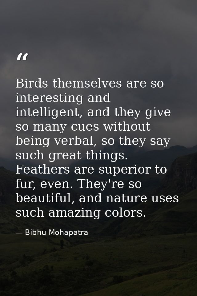 Birds themselves are so interesting and intelligent, and they give so many cues without being verbal, so they say such g — Bibhu Mohapatra