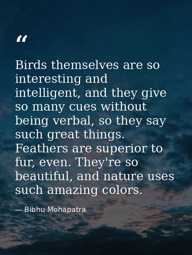 Birds themselves are so interesting and intelligent, and they give so many cues without being verbal, so they say such g — Bibhu Mohapatra
