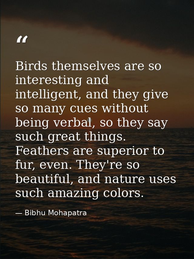 Birds themselves are so interesting and intelligent, and they give so many cues without being verbal, so they say such g — Bibhu Mohapatra