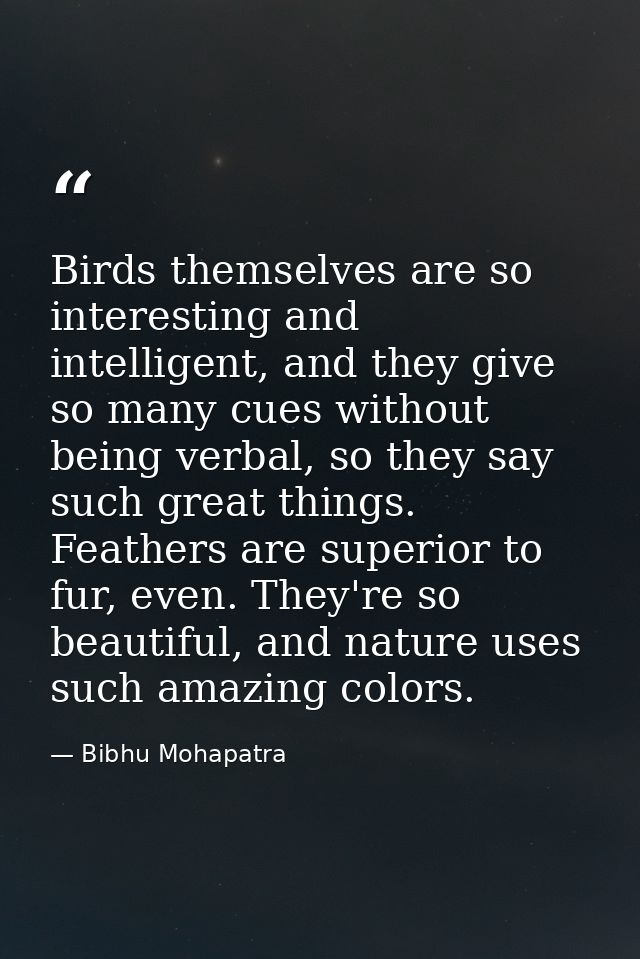 Birds themselves are so interesting and intelligent, and they give so many cues without being verbal, so they say such g — Bibhu Mohapatra