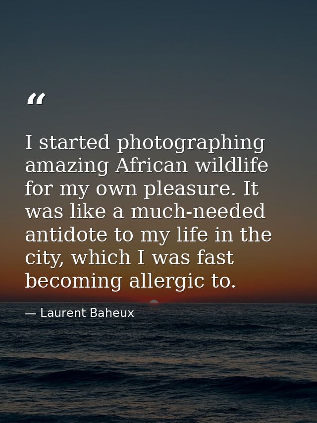 I started photographing amazing African wildlife for my own pleasure. It was like a much-needed antidote to my life in t — Laurent Baheux