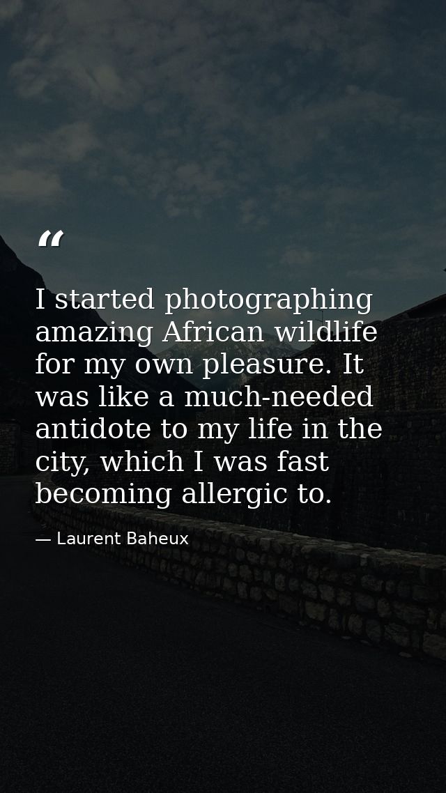 I started photographing amazing African wildlife for my own pleasure. It was like a much-needed antidote to my life in t — Laurent Baheux