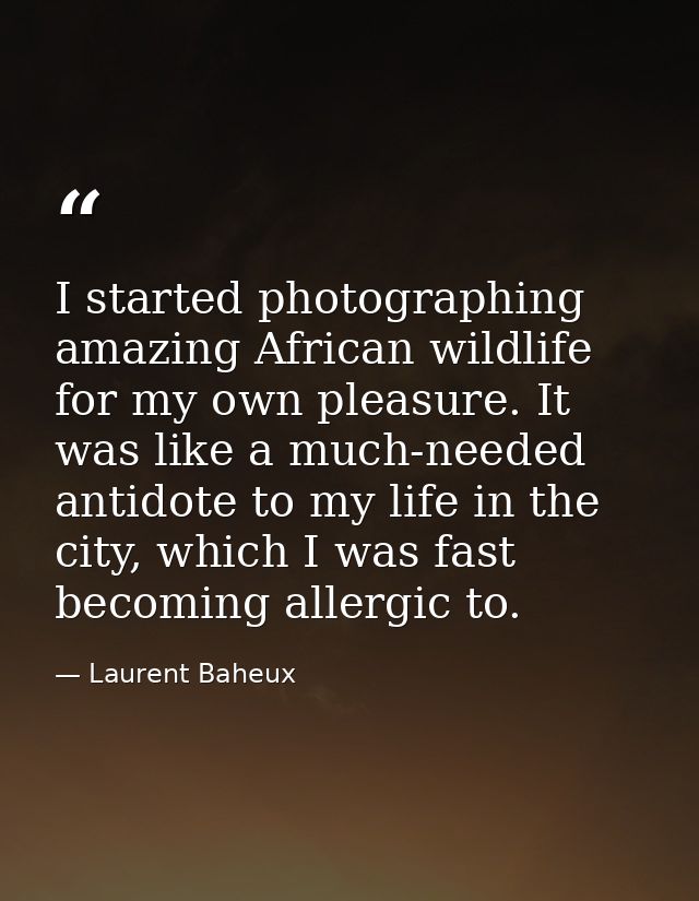 I started photographing amazing African wildlife for my own pleasure. It was like a much-needed antidote to my life in t — Laurent Baheux