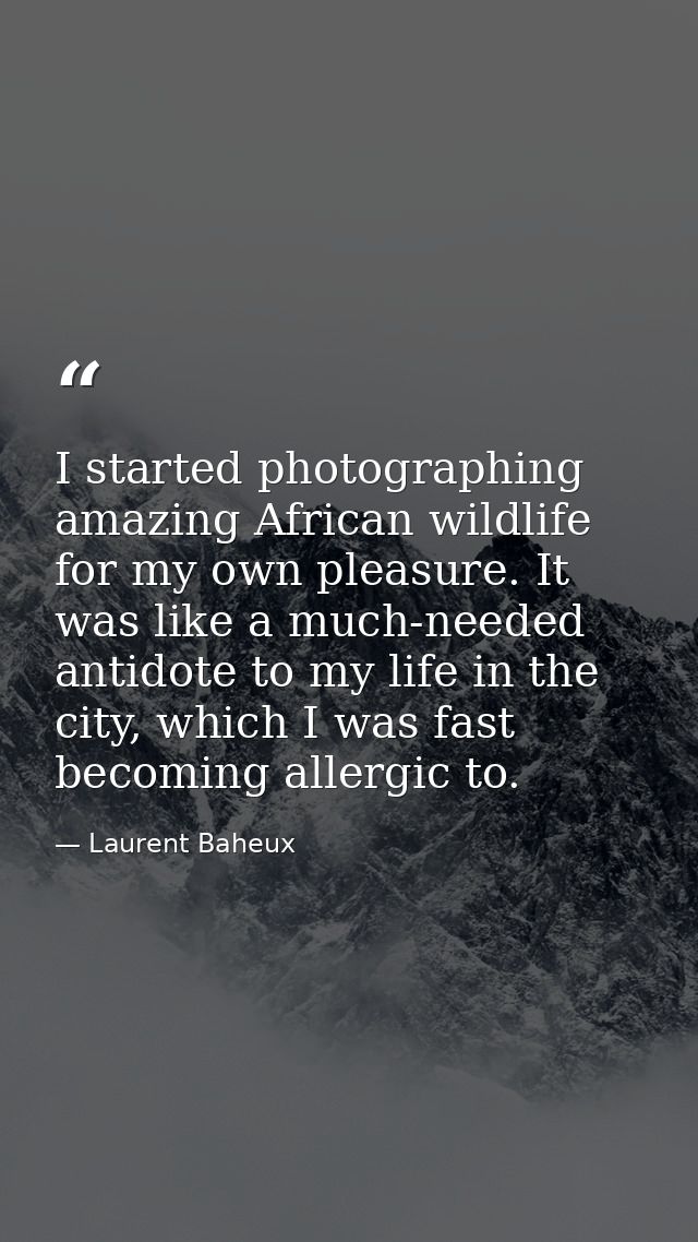 I started photographing amazing African wildlife for my own pleasure. It was like a much-needed antidote to my life in t — Laurent Baheux