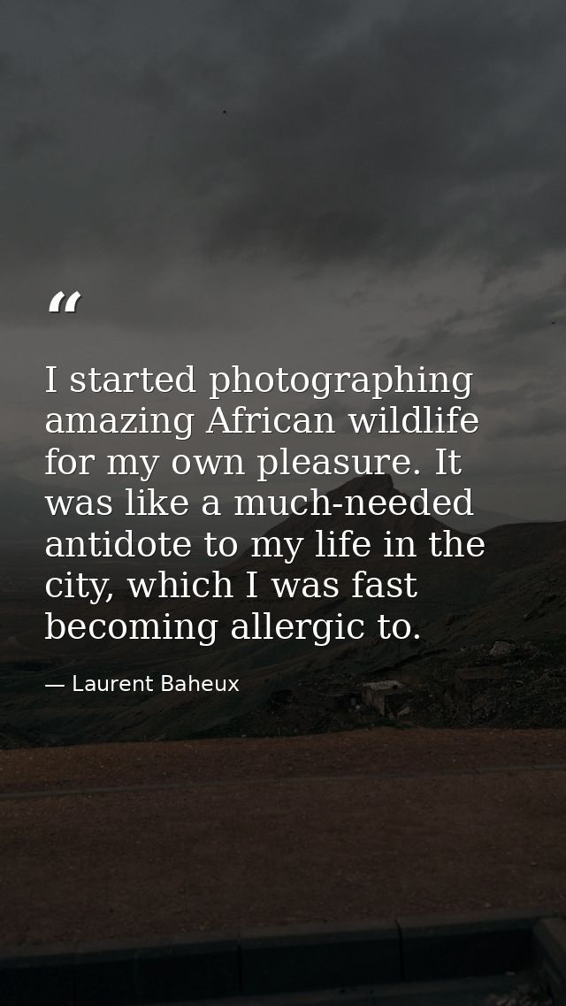 I started photographing amazing African wildlife for my own pleasure. It was like a much-needed antidote to my life in t — Laurent Baheux