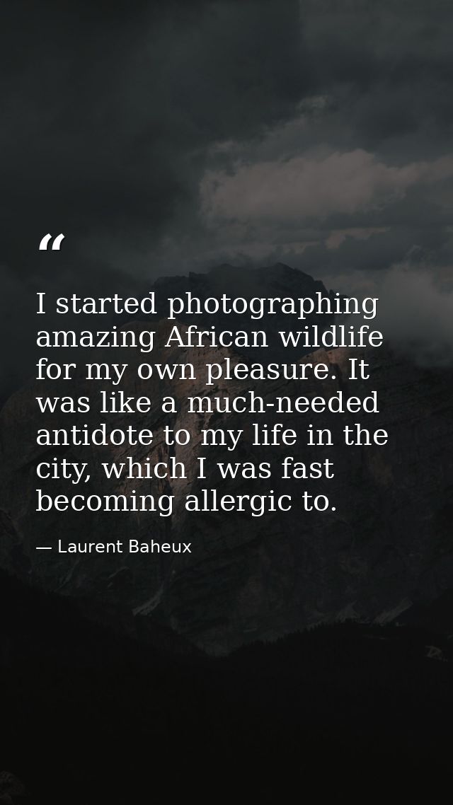 I started photographing amazing African wildlife for my own pleasure. It was like a much-needed antidote to my life in t — Laurent Baheux