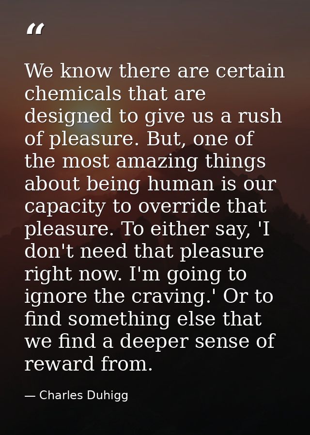 We know there are certain chemicals that are designed to give us a rush of pleasure. But, one of the most amazing things — Charles Duhigg