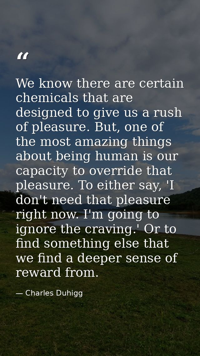 We know there are certain chemicals that are designed to give us a rush of pleasure. But, one of the most amazing things — Charles Duhigg