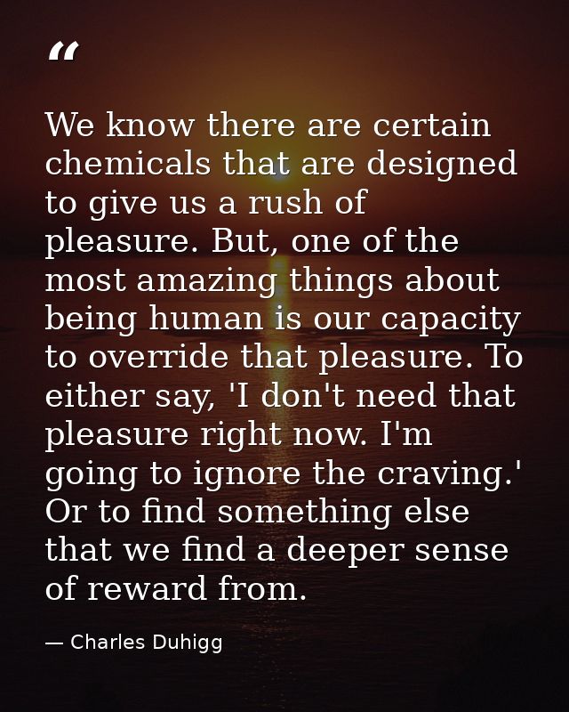 We know there are certain chemicals that are designed to give us a rush of pleasure. But, one of the most amazing things — Charles Duhigg