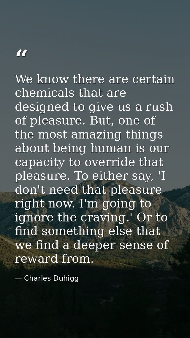 We know there are certain chemicals that are designed to give us a rush of pleasure. But, one of the most amazing things — Charles Duhigg