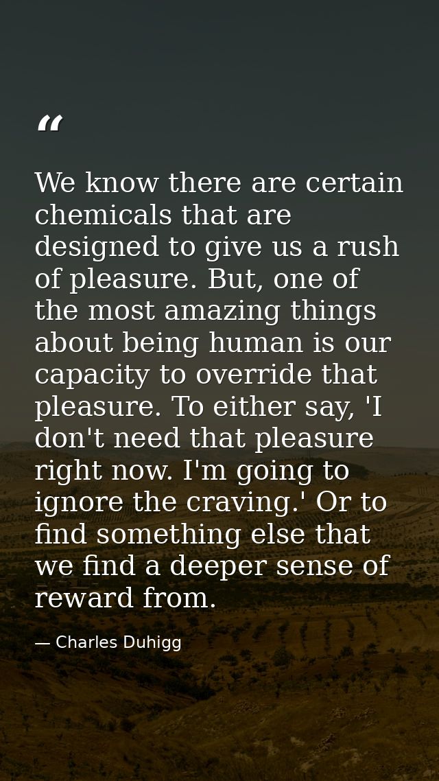 We know there are certain chemicals that are designed to give us a rush of pleasure. But, one of the most amazing things — Charles Duhigg