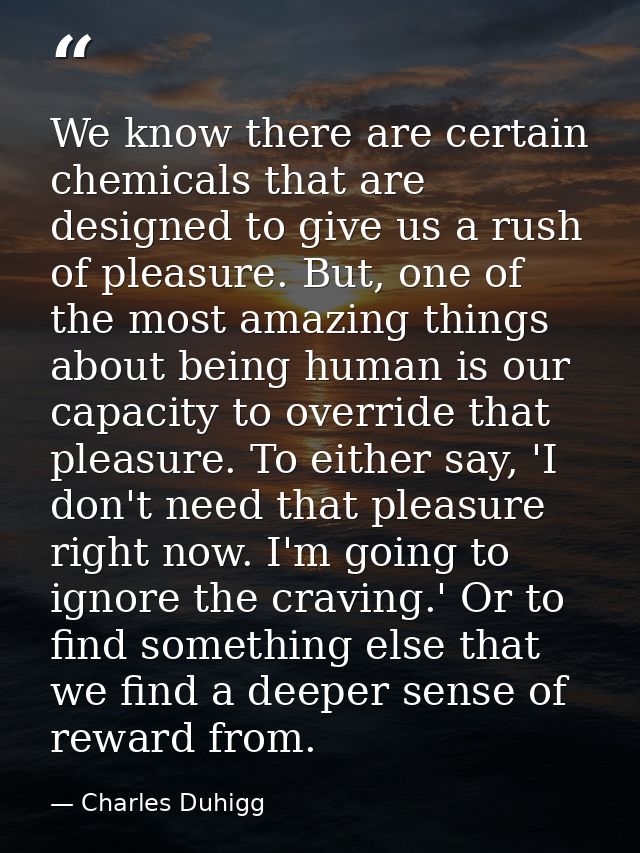 We know there are certain chemicals that are designed to give us a rush of pleasure. But, one of the most amazing things — Charles Duhigg